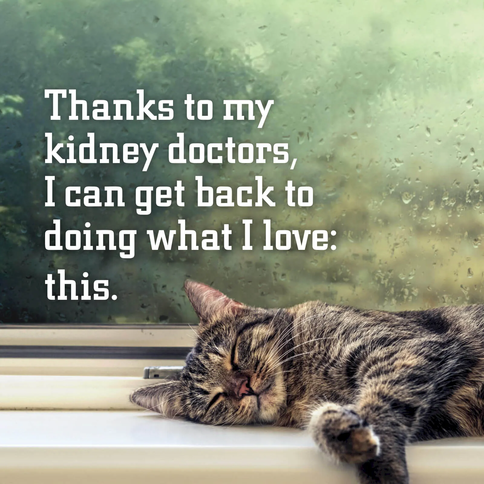 fechtor-tile-osuvetmed-cat